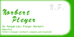 norbert pleyer business card